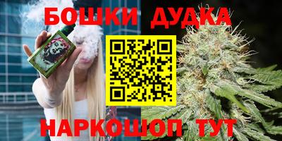сатива Бузулук
