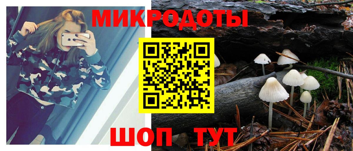 Псилоцибиновые грибы мухоморы Энгельс